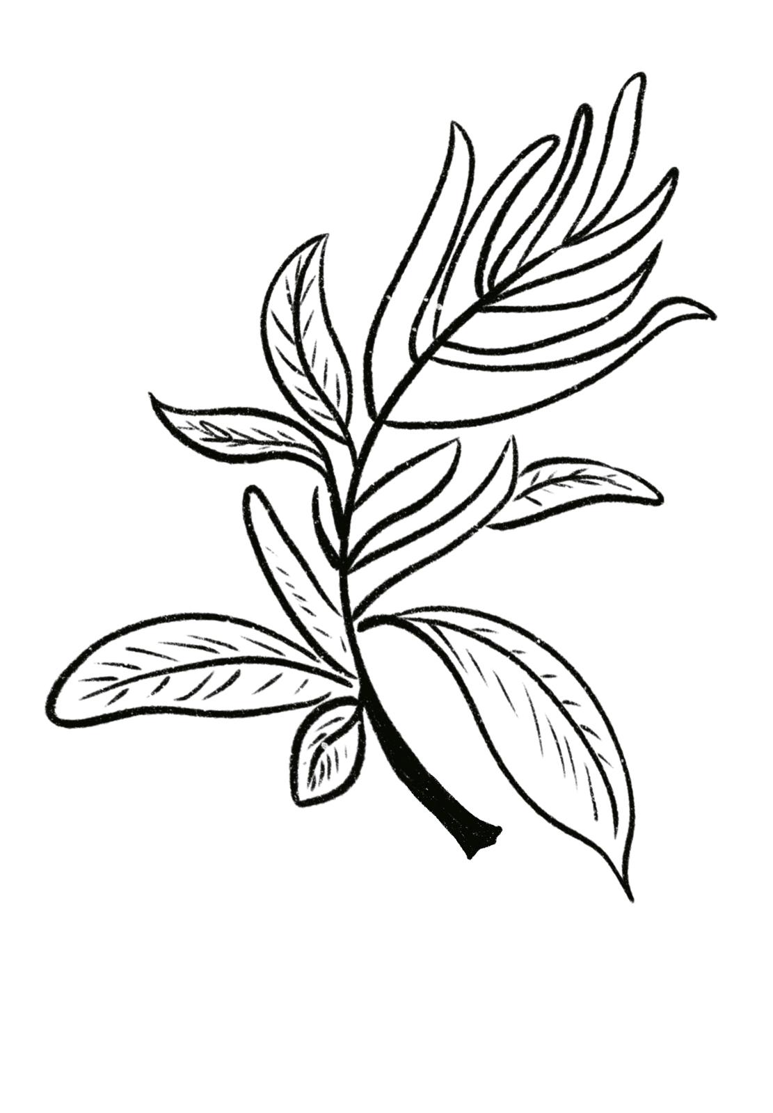 Emblema del Amaranto - Arte Regenerativo